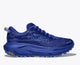 Celestial Blue / Blue Blossom