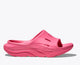 Neon Rose / Neon Rose