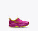 Fuchsia / Fuchsia